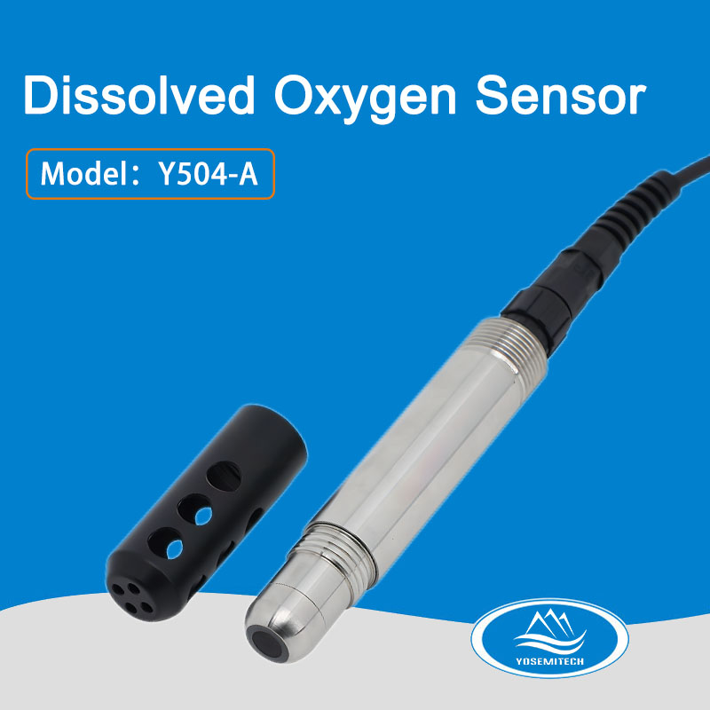 Y504-A online optical dissolved oxygen sensor