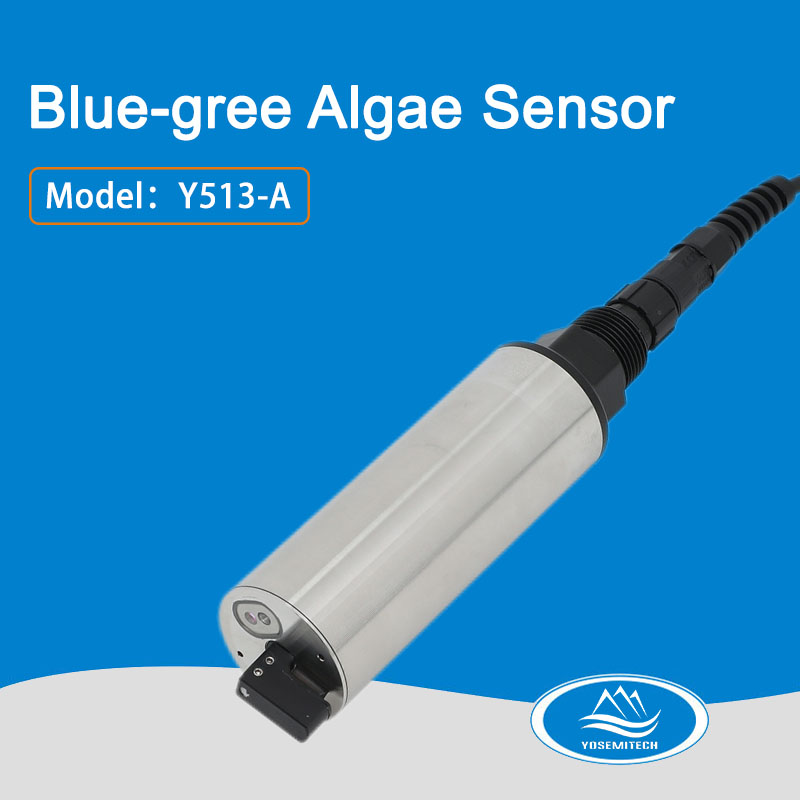 Y513-A self-cleaning blue-gree algae sensor