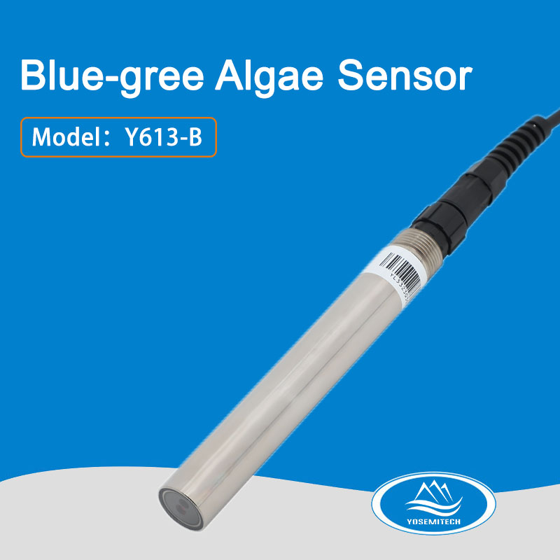 Y613-B Blue-gree Algae Sensor