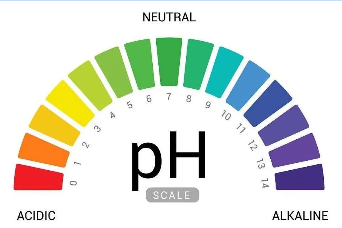 pH scale.png