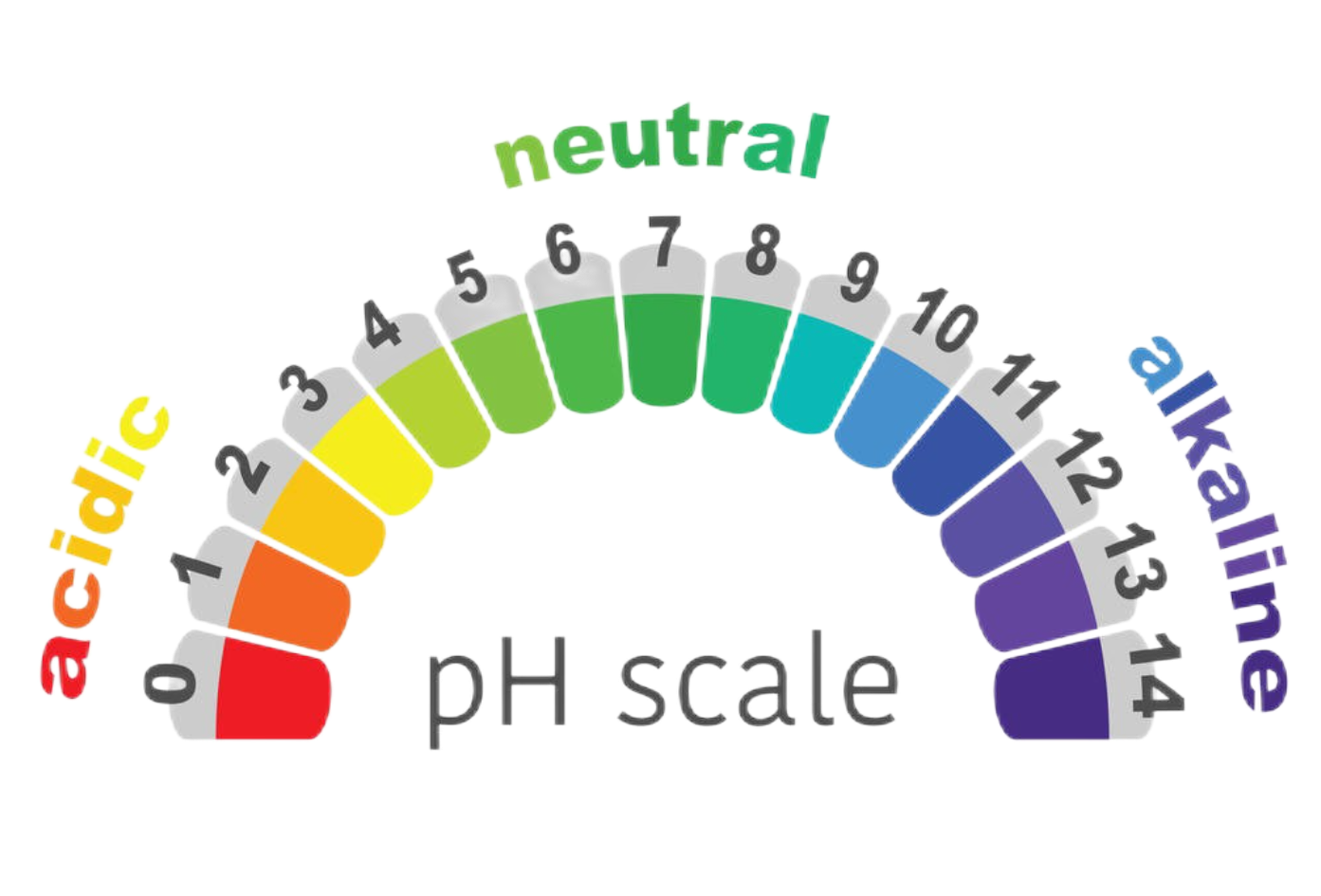 pH scale.png