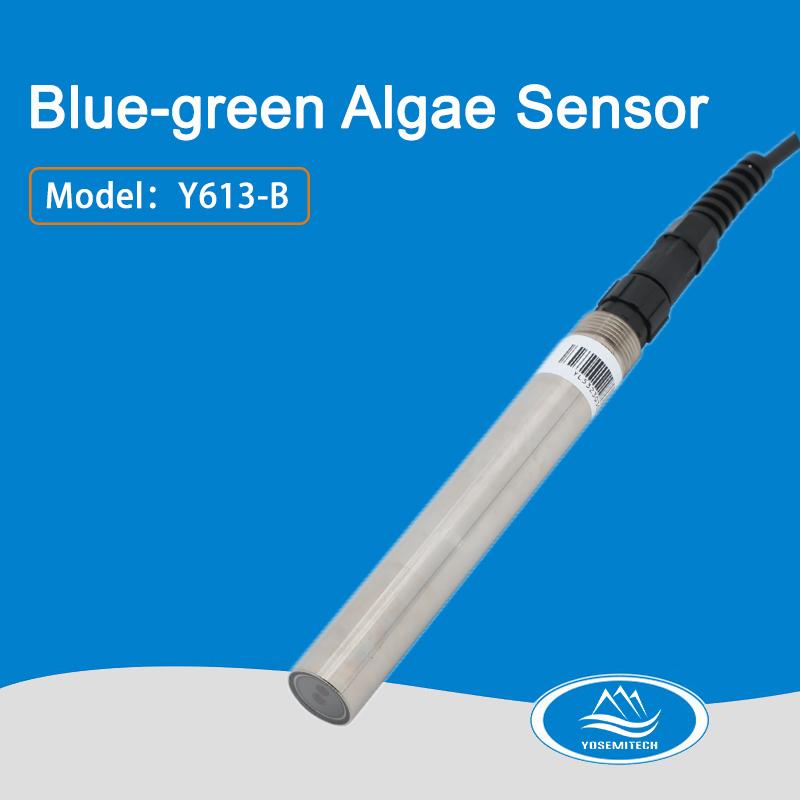 Y613-B Online Blue-green Algae Sensor