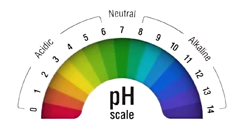 pH scale.png