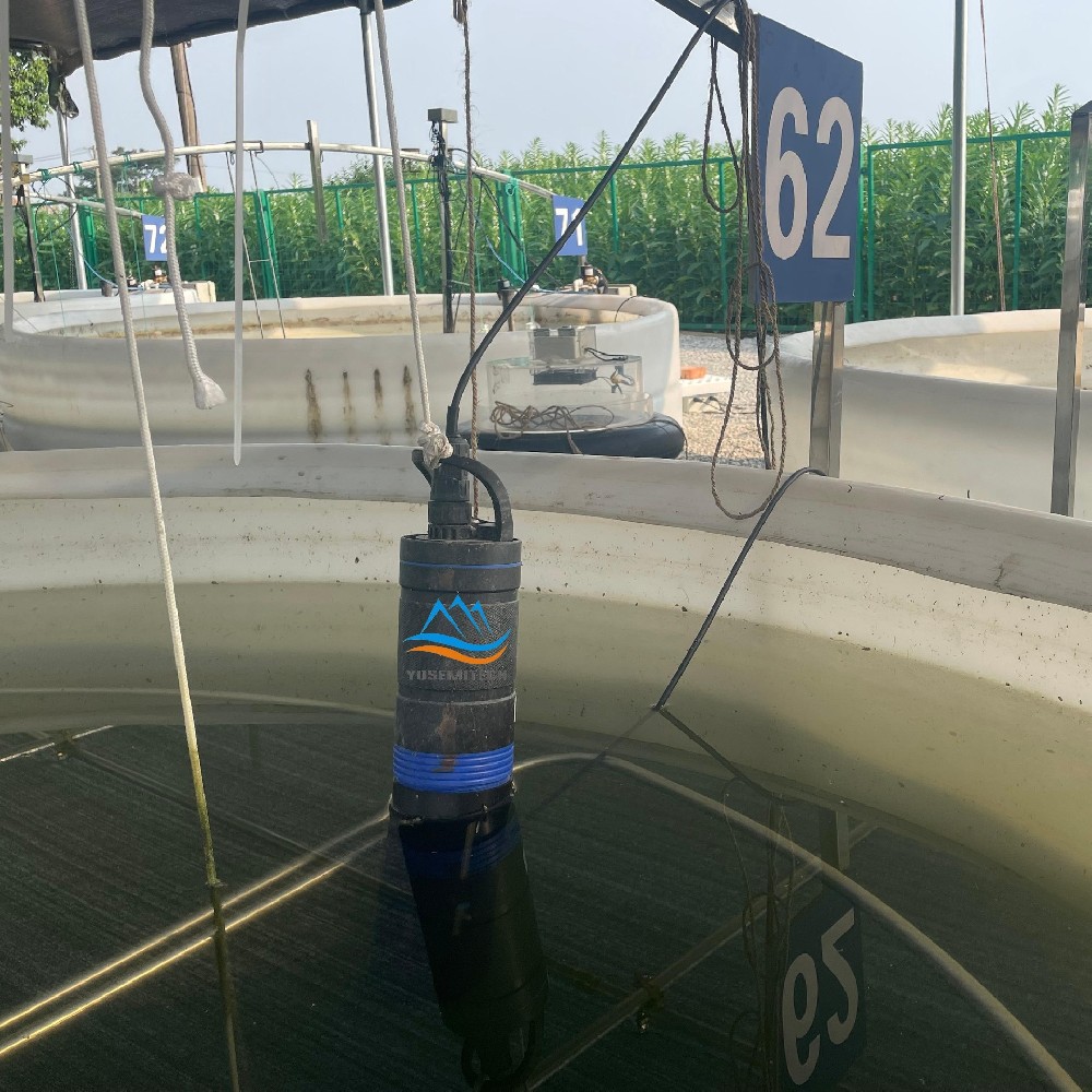 Yosemitech Multi-parameter Sondes Contribute to Construction of Intelligent Lake Simulation System